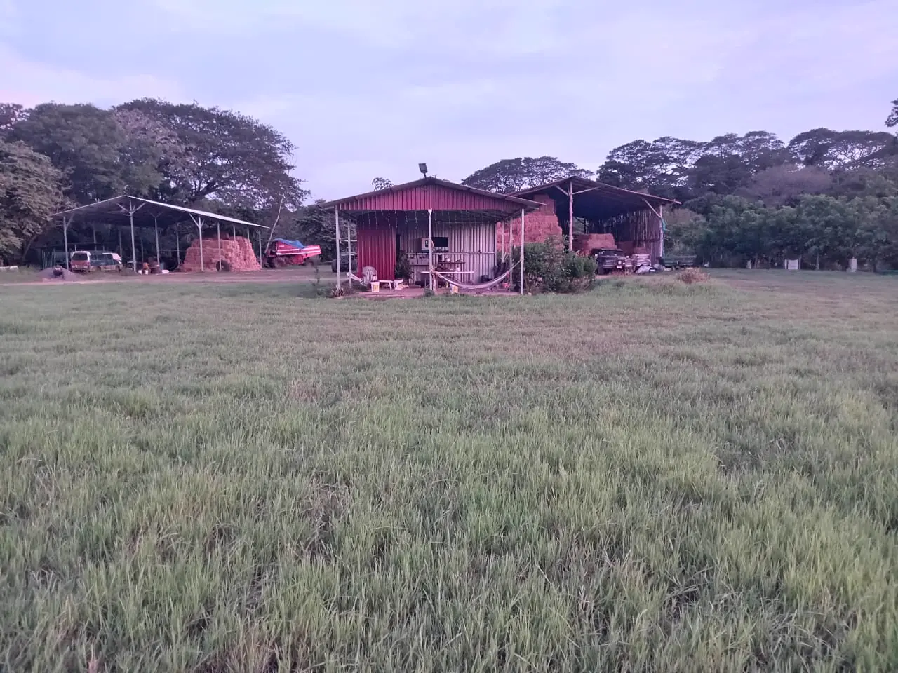 Storage sheds used by the business for hay bales