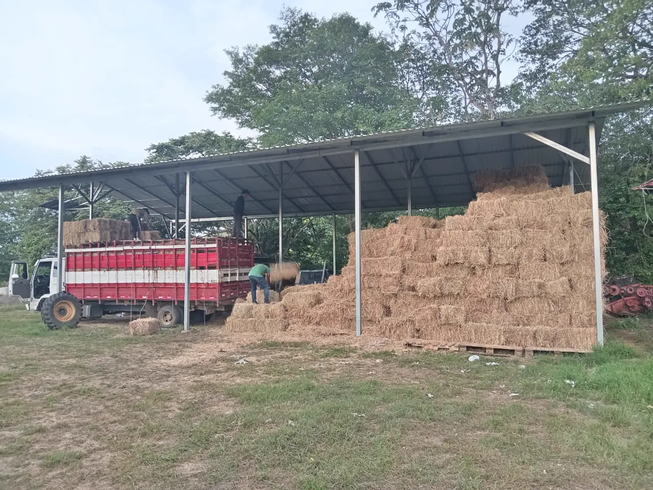 Hay bales stored inside a covered shed