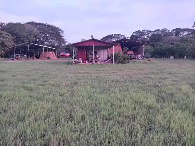 Storage sheds used to keep hay bales under cover