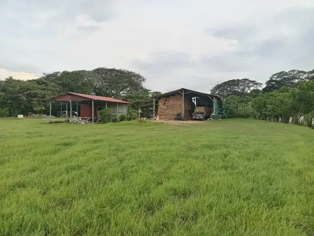 Hay storage sheds next to a field